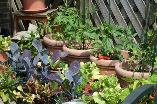 ein-kuechengarten-war-frueher-zur-selbstversorgung-d-cc0--pixabay--drumpie1-250610_download Ein Küchengarten war früher zur Selbstversorgung da.