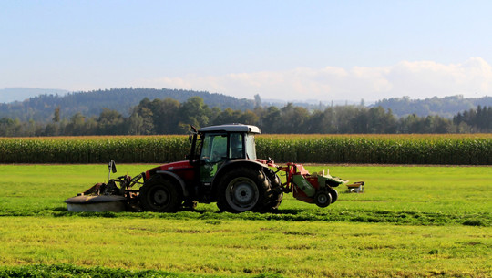 kurviges-maehen-cc0--pixabay--markus53-250730 kurviges Mähen