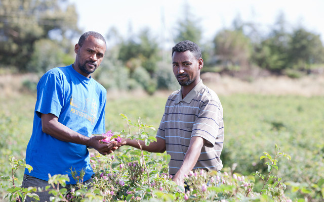 DRH_Niagara_Utopia_Slide10_Partner_Rose_Aeth_1280x800px Naturkosmetik Partner weltweit