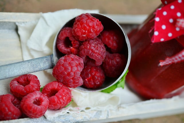 beim-pflanzen-von-himbeeren-kannst-du-dich-zwische-cc0--pixabay--congerdesign-250806_download Beim Pflanzen von Himbeeren kannst du dich zwischen Herbst- und Sommerarten entscheiden.