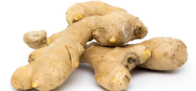 ginger-effective-remedy-from-asia-cc0pixabaymarker_photography-170717 Ginger – effective remedy from Asia.