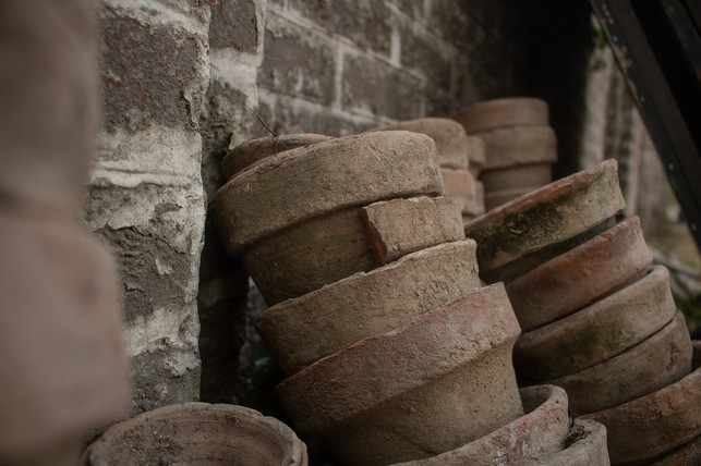 anstatt-sie-direkt-wegzuschmeissen-kannst-du-alte-cc0-pixabay-heavinn_techne-230410_download Anstatt sie direkt wegzuschmeißen, kannst du alte Blumentöpfe auch upcyceln oder verschenken.