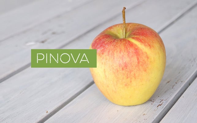 Apfelsorten bestimmen – Pinova Apfelsorten bestimmen – Pinova