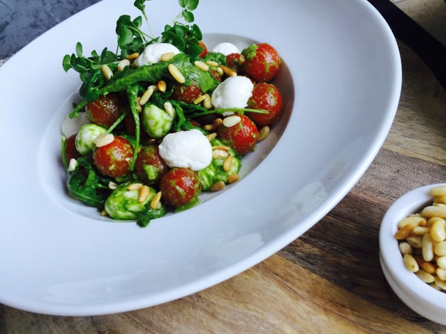 selbst-angebaute-brunnenkresse-reichert-salate-mit-cc0-pixabay-jereskok-250301_download Selbst angebaute Brunnenkresse reichert Salate mit vielen Vitaminen an.