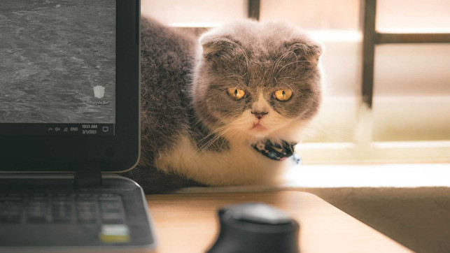 digital-sennin-li1mmbpesrU-unsplash_1920x1080 Triodos Geldpsychologie entscheidungen geldfragen