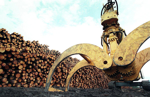 150929-alternative-IKEA-abholzung-c_600x390 150929-alternative-IKEA-abholzung-c_600x390