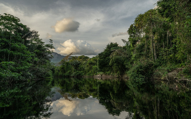 Noch intakte Natur, die zu kippen droht Noch intakte Natur, die zu kippen droht