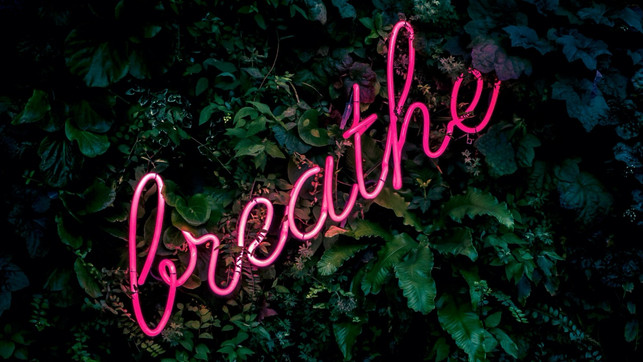 wv-gelassenheit-unsplash-fabian-moller-230420-1280x720-1