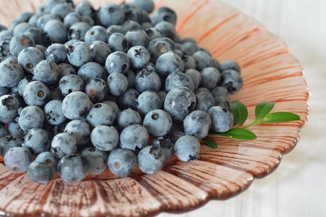 heidelbeeren-liefern-viele-gesunde-naehrstoffe-cc0-pixabay-utroja0-231115_download Heidelbeeren liefern viele gesunde Nährstoffe.