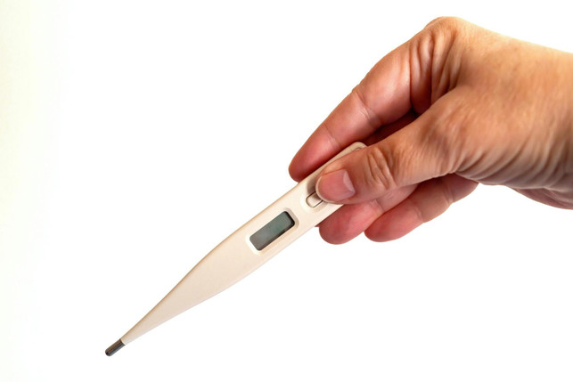ein-fieberthermometer-sollte-in-der-hausapotheke-s-pexels-gundula-vogel-250326_download Ein Fieberthermometer sollte in der Hausapotheke stets griffbereit sein.
