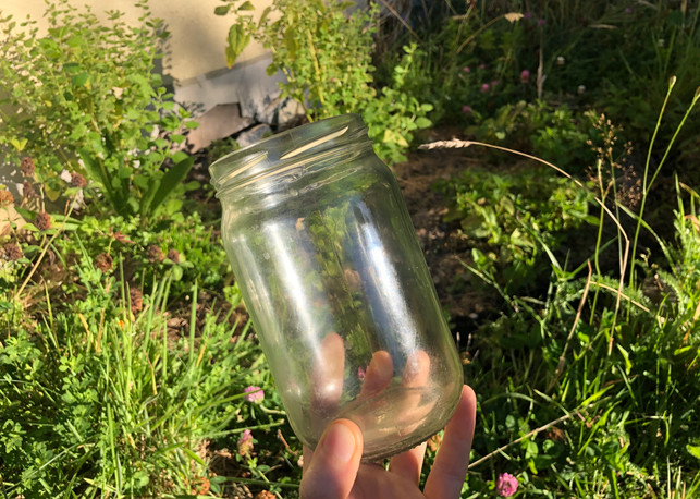 um-den-kraeutern-einen-wachstumsschub-zu-geben-ben-lina-brammertz-utopia-250304_download Um den Kräutern einen Wachstumsschub zu geben, benötigst du lediglich ein Einmachglas.