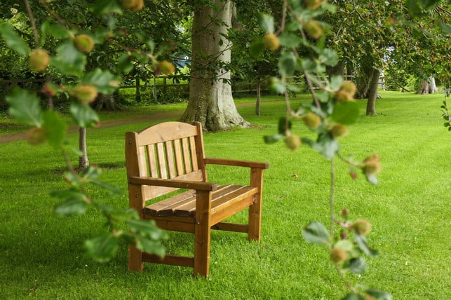 polywood-ist-ein-beliebter-stoff-fuer-gartenmoebel-cc0-pixabay-ginigeo_photography-200213_download Polywood ist ein beliebter Stoff für Gartenmöbel.