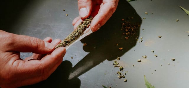 Cannabis als Genussmittel? Branchenvertreter fordern Reinheitsgebot