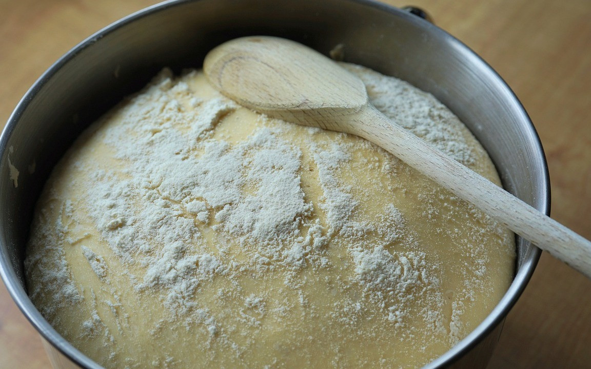 biologischer dünger für gemüse Biologischer Universaldünger (1,2 kg) – Lucky Plant GmbH