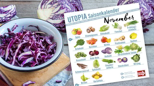 saisonkalender-utopia-november-cpb-200522-1280x720 Utopia Saisonkalender November