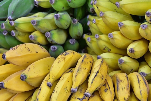 jeder-reifegrad-der-banane-bietet-andere-vorteile-cc0-pixabay-peterg63-241024_download Jeder Reifegrad der Banane bietet andere Vorteile. Wer täglich Banane isst, kann mit diesem Wissen die verschiedenen Vorteile wortwörtlich voll auskosten.
