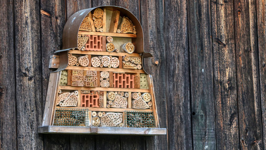 fehler-insektenhotel-cc0--pixabay--planet_fox-250909 Fehler Insektenhotel