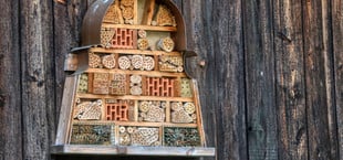 Fehler Insektenhotel