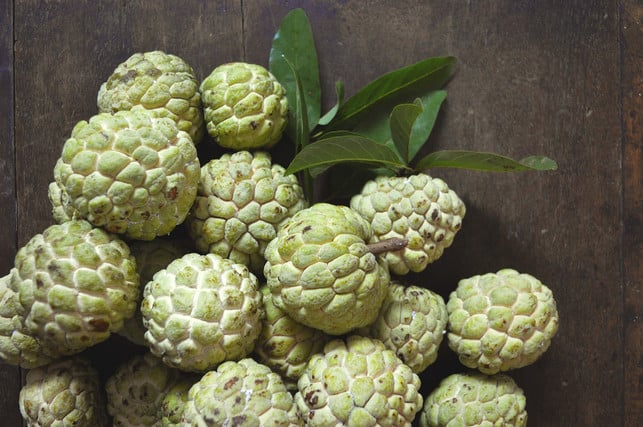 damit-die-cherimoya-in-unseren-breitengraden-fruech-cc0-pixabay-annhien-201210_download Damit die Cherimoya in unseren Breitengraden Früchte trägt, musst du sie per Hand bestäuben.