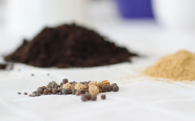 Seed Bombs basteln Seed Bombs basteln