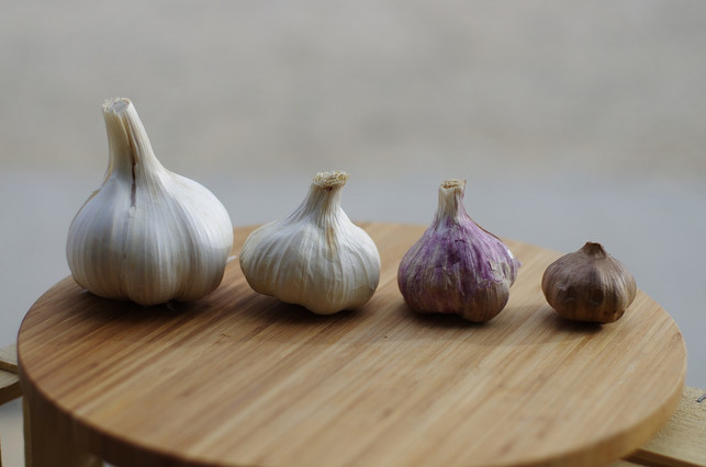 wenn-knoblauch-keimt-bedeutet-das-nicht-dass-du-cc0-pixabay-maisonboutarin-230725_download Wenn Knoblauch keimt, bedeutet das nicht, dass du ihn nicht mehr essen kannst.