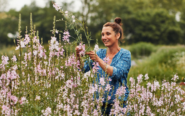 SA_Bild_Text_2_1280_800 bio bouquet blumen online bestellen bloomon