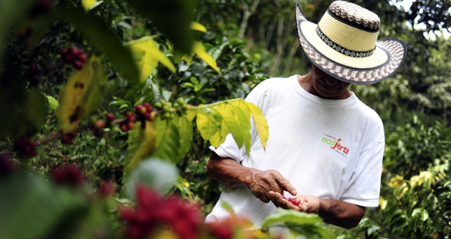 Third Wave Coffee aus direktem Handel von den Kaffeebauern in den Abauländern Third Wave Coffee aus direktem Handel von den Kaffeebauern in den Anbauländern