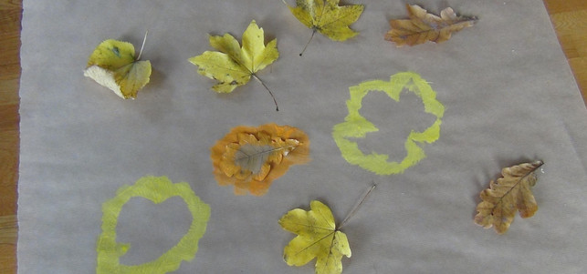 geschenkpapier-selber-machen-laub-p-julia-pfliegl-161201-1280x600 Mit Herbstlaub etwas Farbe auf das schnöde Papier bringen