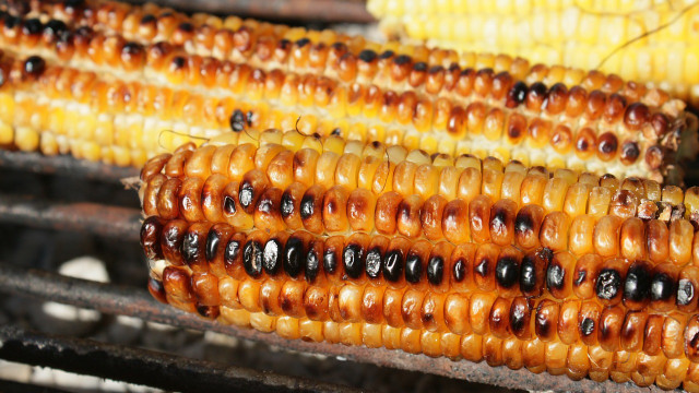 maiskolben-grillen-cc0-pixabay-byrev-190329 Maiskolben grillen