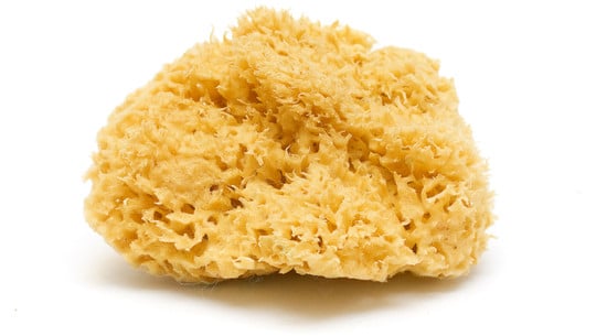 Natural Bath Sponge Isolated on White menstruationsschwamm