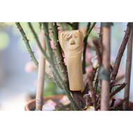 das-ohrwurmhaus-lockt-nuetzliche-ohrwuermer-in-deine-waschbaer-190226_download Das Ohrwurmhaus lockt nützliche Ohrwürmer in deinen Garten.