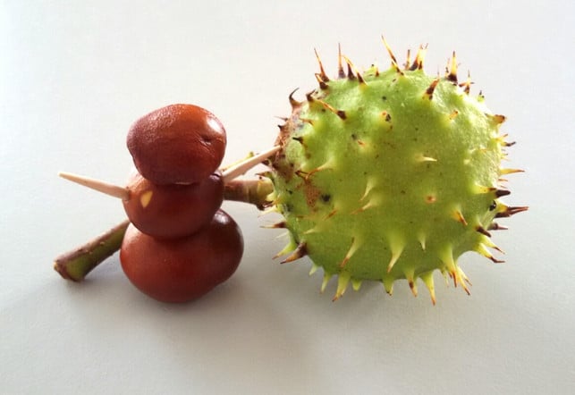 kastanienmaennchen-mit-kastanie-melanie-von-daake-utopia-221007_download Kastanienmännchen mit Kastanie