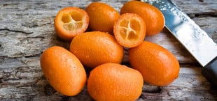 Kumquats: Mini-Orangen lassen sich als Ganzes snacken