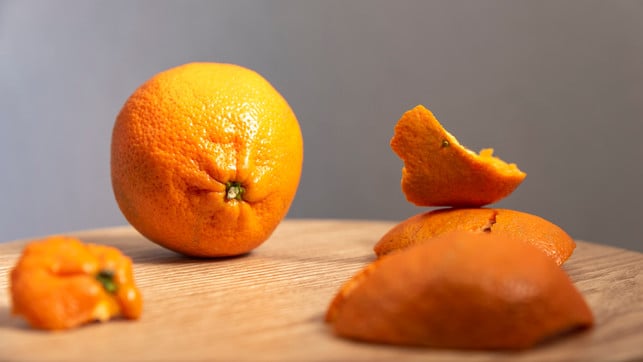 neben-mandarinenschalen-brauchst-du-fuer-diesen-rau-cc0--pixabay--stewardesign-251111_download Neben Mandarinenschalen brauchst du für diesen Raumduft nur weniger andere Zutaten