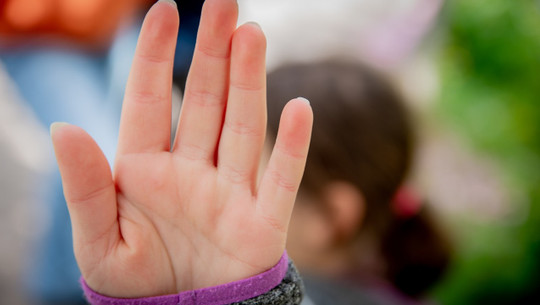 flying-monkeys-cc0-pixabay-albersheinemann-220416 flying monkeys