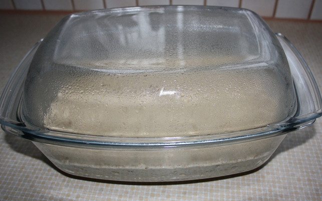 gib-den-teig-fuer-das-no-knead-bread-in-eine-glasfo-maria-hohenthal-utopia-200609_download Gib den Teig für das No-Knead-Bread in eine Glasform mit Deckel.