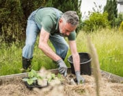 Gartenarbeit schlecht für den Rücken? Gesellschaft für Orthopädie klärt auf