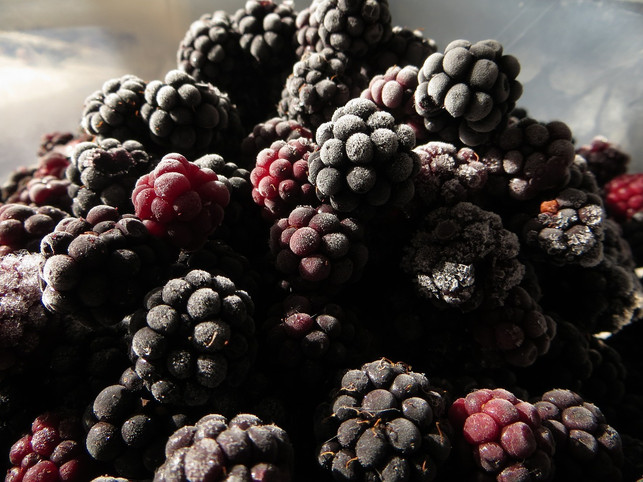 fuer-eine-laengere-haltbarkeit-kannst-du-brombeeren-cc0-pixabay-hendersona980-240819_download Für eine längere Haltbarkeit kannst du Brombeeren einfrieren.