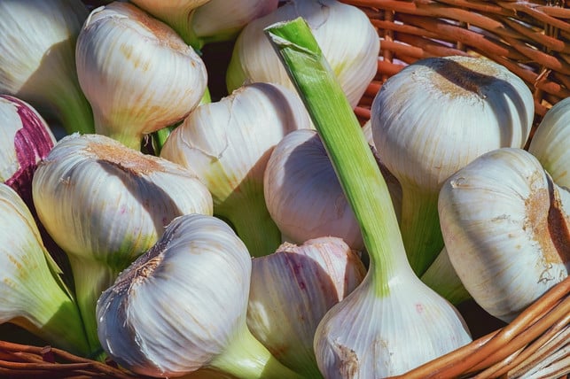 UM-VON-HESINTITICAL-BAREDEIDEN-Zu-Profitier-CC0-Pixabay-Couleur-131201_Download In order to benefit from the health advantages, it is best to use fresh garlic.
