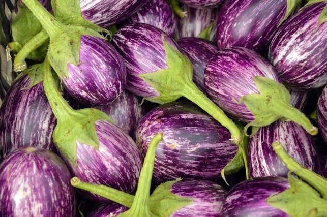 nachtschattengewaechs-aubergine-cc0-pixabay-peggychoucair-190228_download Nachtschattengewächs Aubergine