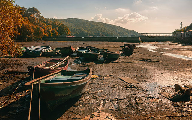chester-ho-unsplash-640x400 Umweltschutz Klimawandel nachhaltige grüne Banken