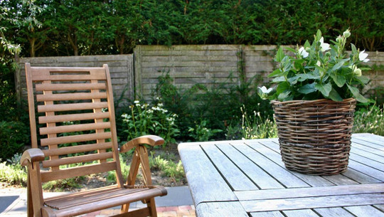 gartenmoebel-reinigen-die-besten-hausmittel-cc0-pixabay-catkin-220513 Gartenmöbel reinigen: Die besten Hausmittel