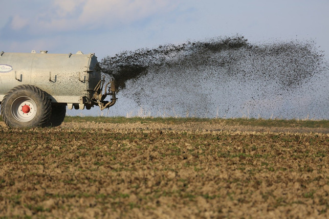 ein-zentraler-ausloeser-von-algenblueten-sind-landwi-cc0-pixabay-schauhi-200901_download Ein zentraler Auslöser von Algenblüten sind landwirtschaftliche Abfälle, die über Flüsse in die Ozeane gelangen.