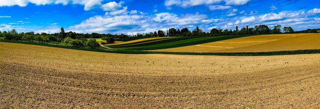 mit-precision-farming-koennen-relief-bedingte-unter-cc0-pixabay-monikap-220119_download Mit Precision Farming können durch Relief bedingte Unterschiede im Pflanzenbau auf Basis von Daten bedarfsgerechter ausgeglichen werden.