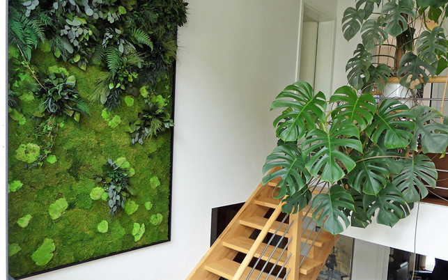 pflanzenbilder-raum-enorm-z-stylegreen-180823-1280x800 Pflanzenbilder Pflanzen Wände