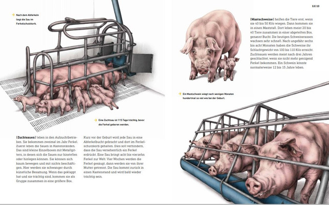 buch-bauernhof-s-klett kinderbuch verlag-201028-1280x800 Kinderbuch, Shitstorm, Das wahre Leben der Bauernhoftiere