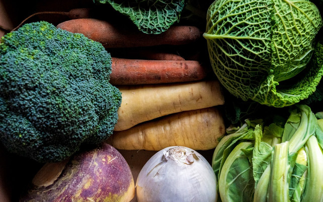 Gesunde Ernährung Gemüse Obst Gesunde Ernährung Gemüse Obst