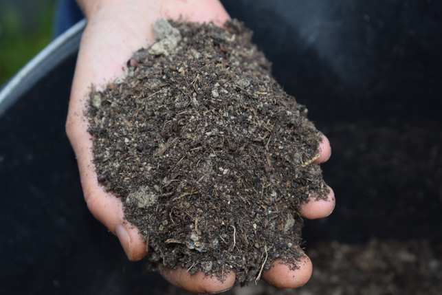 mulch-ist-dein-bester-begleiter-fuer-eine-reiche-to-cc0--pixabay--jennyjohansson-250626_download Mulch ist dein bester Begleiter für eine reiche Tomatenernte.