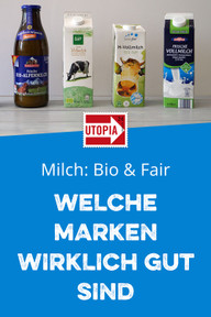 michl-fair-bio-u-190917 Milchpreis im Keller: Jetzt faire Marken kaufen