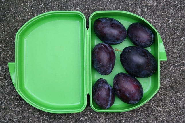 plastik-ist-prakitsch-zur-aufbewahrung-von-lebensm-cc0-pixabay-hans-230820_download Plastik ist prakitsch zur Aufbewahrung von Lebensmitteln. In der Mikrowelle damit etwas zu erhitzen, könnte jedoch sehr schädlich sein.